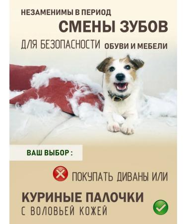 FUNNYU Chicken sticks for teeth in dogs - Buy Online on GoSupps.com