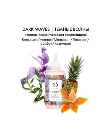 RCO Cleaning vine shampoo for hair shine - Buy Online on GoSupps.com
