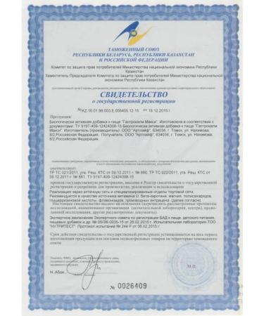 ArtLife Gastrocalm maxi ulcer diarrhea gastritis - Buy Online on GoSupps.com