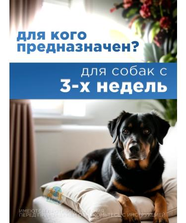 AVZ Dironet 200 for small dogs 10 tablets - Buy Online on GoSupps.com