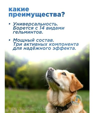 AVZ Dironet 1000 for large dogs 6 table - Buy Online on GoSupps.com