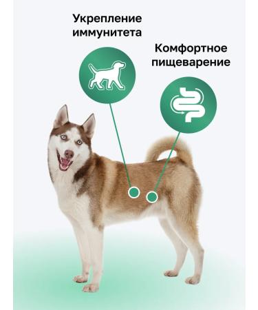 Organix Dry food for dogs with chicken fruits and vegetables 10 kg - Buy Online on GoSupps.com