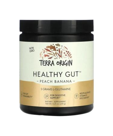 Terra origin Healthy GUT digestive system 243 gr (peach Banana)