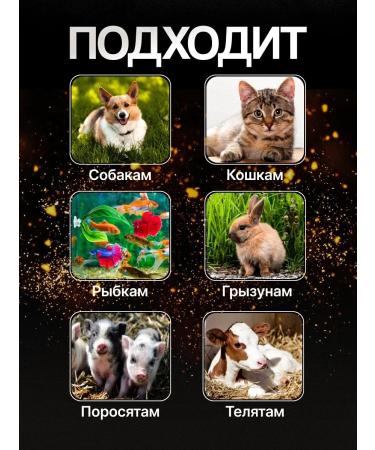 IP Kotenkova Premium Probiotic "Vetozhin" super effect! - Buy Online on GoSupps.com