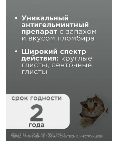 Helminthal syrup from cats for cats less than 4 kg - Buy Online on GoSupps.com
