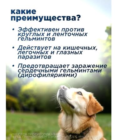 KRKA Milprazone tablets for dogs more than5 kg - Buy Online on GoSupps.com