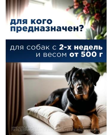 KRKA Milprazone tablets for dogs more than5 kg - Buy Online on GoSupps.com