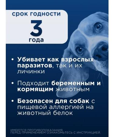 KRKA Milprazone tablets for dogs more than5 kg - Buy Online on GoSupps.com