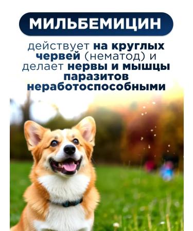 KRKA Milprazone tablets for dogs more than5 kg - Buy Online on GoSupps.com