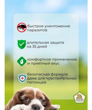 Zoetis Simeparika for dogs 2.5-5 kg 3 tablets - Buy Online on GoSupps.com