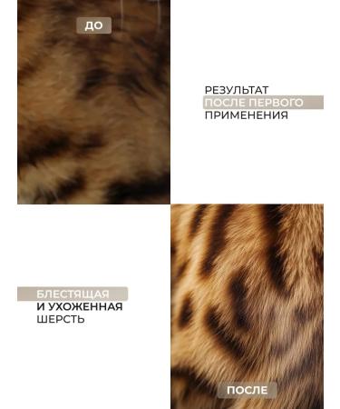 DOGIGO Cat shampoo universal - Buy Online on GoSupps.com