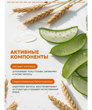 Semily Shampoo for curly and curly hair - Buy Online on GoSupps.com