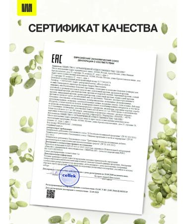 Nooch Pumpkin protein vegetable for weight loss 450g - Buy Online on GoSupps.com