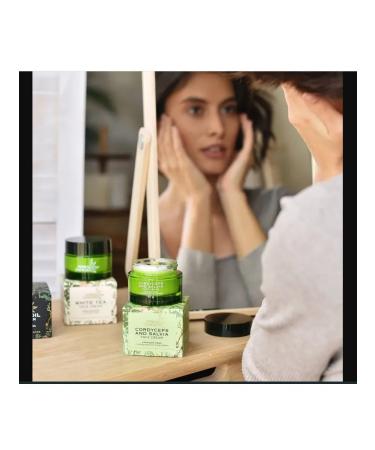 Face cream with cordyceps and sage - Buy Online on GoSupps.com