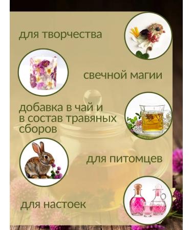 FOREST FAIRY Clover red meadow whole flowers - Buy Online on GoSupps.com