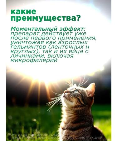 Astrapharm Supramil from helminths for cats from 2 kg - Buy Online on GoSupps.com