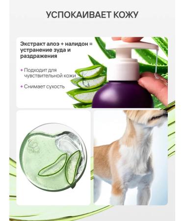 AMIGO Shampoo from tunes for dogs and cats 300 ml for combing - Buy Online on GoSupps.com