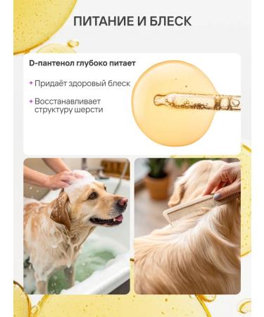 AMIGO Shampoo from tunes for dogs and cats 300 ml for combing - Buy Online on GoSupps.com