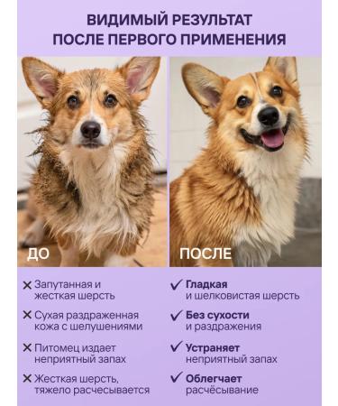 AMIGO Moisturizing shampoo for dogs and cats 300ml from smell - Buy Online on GoSupps.com