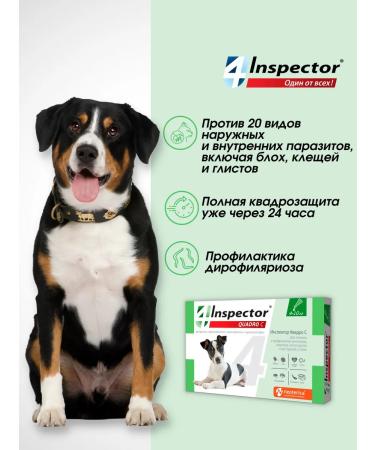 Inspector Quadro i305 Drops for dogs 4-10 kg - Buy Online on GoSupps.com