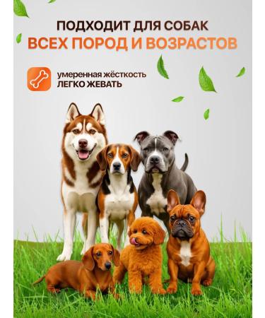 PetSoul Beef udder 200 g - Buy Online on GoSupps.com