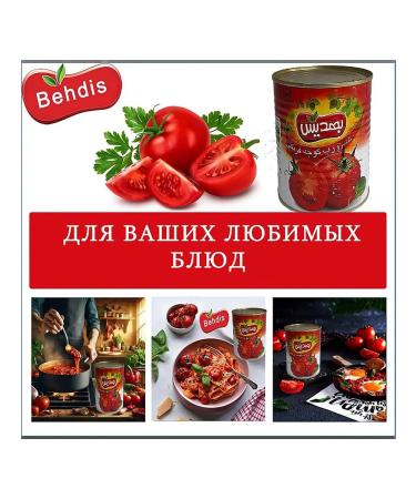 BEHDIS Tomato paste 2 cans of 400 grams - Buy Online on GoSupps.com
