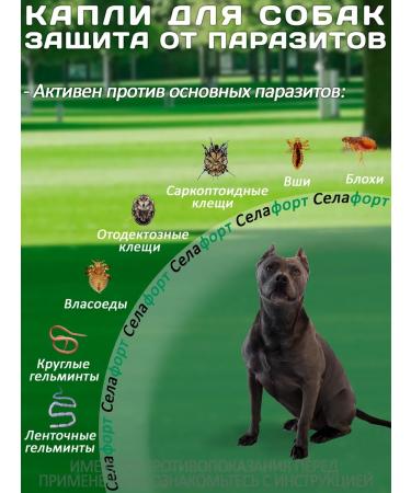 KRKA Drops from fleas and ticks Sealess for dogs from 20.1 to 40 kg - Buy Online on GoSupps.com