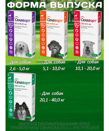 KRKA Drops from fleas and ticks Sealess for dogs from 20.1 to 40 kg - Buy Online on GoSupps.com