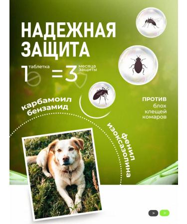 Tixfli Flea and dog ticks 20-40 kg-1000 mg tablets and ticks - Buy Online on GoSupps.com