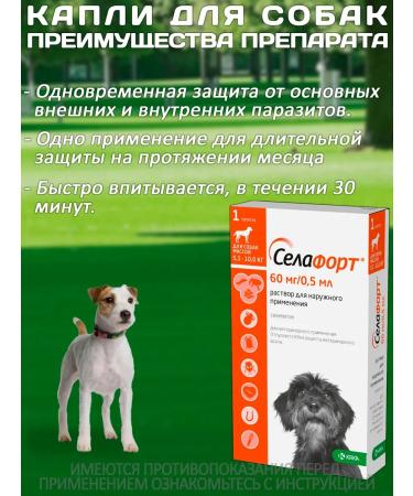KRKA Drops from fleas and ticks Sealess for dogs from 5.1 to 10 kg - Buy Online on GoSupps.com