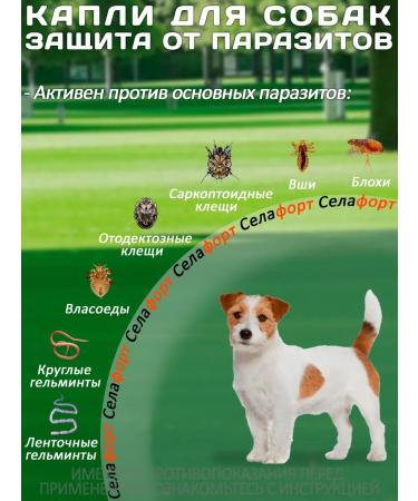 KRKA Drops from fleas and ticks Sealess for dogs from 5.1 to 10 kg - Buy Online on GoSupps.com