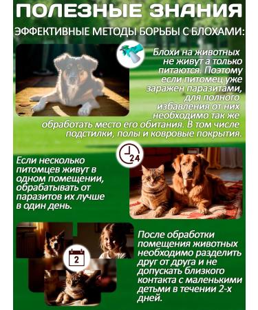 KRKA Drops from fleas and ticks Sealess for dogs from 5.1 to 10 kg - Buy Online on GoSupps.com