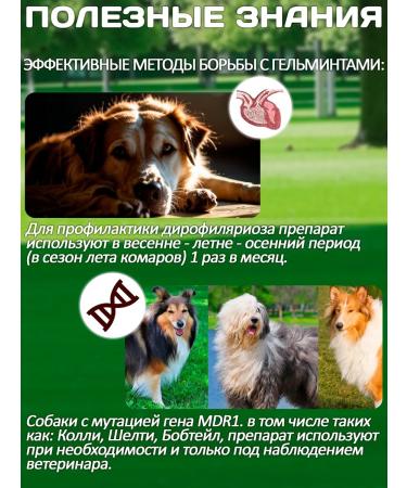 KRKA Drops from fleas and ticks Sealess for dogs from 5.1 to 10 kg - Buy Online on GoSupps.com