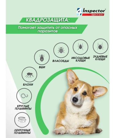 Neoterica Inspector quadro drops from dog drops 4-10 kg - Buy Online on GoSupps.com