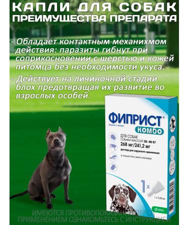 KRKA Drops from fleas and ticks Phiprist Combo for dogs 20-40 kg - Buy Online on GoSupps.com