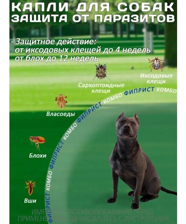 KRKA Drops from fleas and ticks Phiprist Combo for dogs 20-40 kg - Buy Online on GoSupps.com