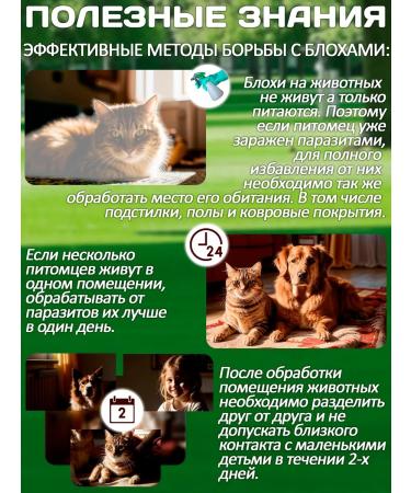 KRKA Drops from fleas and ticks of Sealess for cats from 7.6 to 10 kg - Buy Online on GoSupps.com