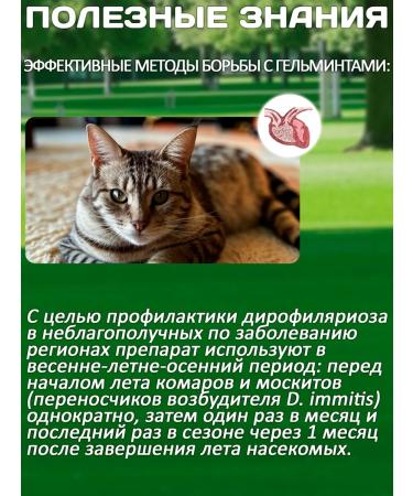 KRKA Drops from fleas and ticks of Sealess for cats from 7.6 to 10 kg - Buy Online on GoSupps.com