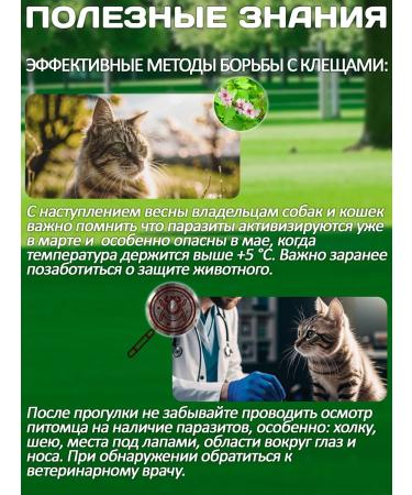 KRKA Drops from fleas and ticks of Sealess for cats from 7.6 to 10 kg - Buy Online on GoSupps.com