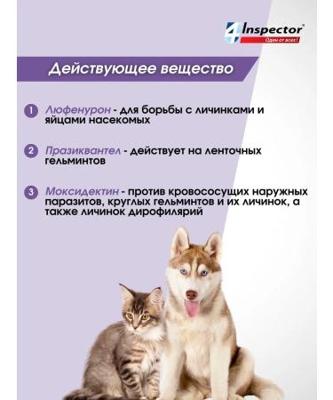 Neoterica Inspector Quadro Tabs for dogs from 8 to 16 kg - Buy Online on GoSupps.com