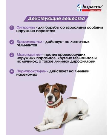 Neoterica Inspector quadro drops from dog drops 10-25 kg - Buy Online on GoSupps.com