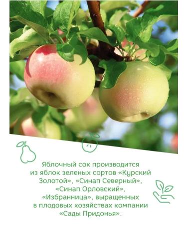 Gardens of Pridonya Juice apple-brigade 0.2 l 27pcs - Buy Online on GoSupps.com