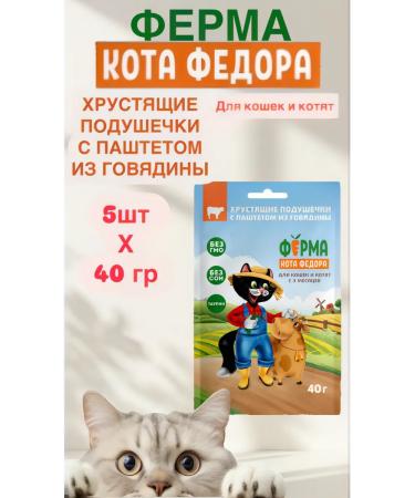 Mnyams Pillows for cats and kittens with beef paste 40 g 5pcs