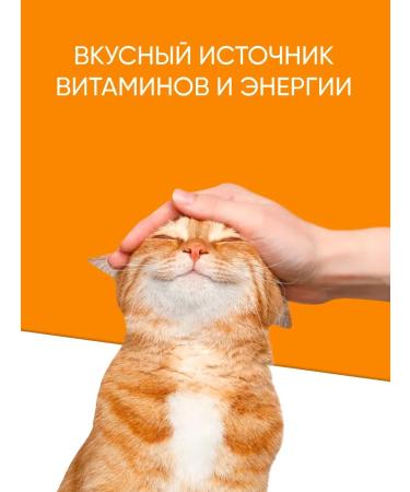 Titbit Cat a treat hematogen meat Immuno 14 pcs - Buy Online on GoSupps.com