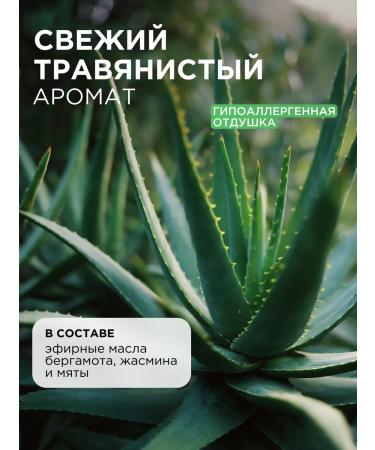 SYNERGETIC Cream soap aloe Vera 5 l - Buy Online on GoSupps.com