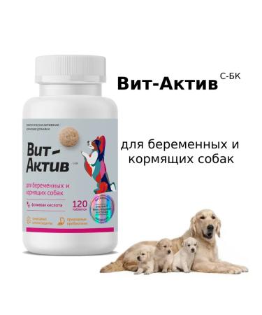 VitActive Vitamins for pregnant and lactating dogs 120 tablets - Buy Online on GoSupps.com
