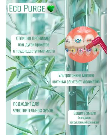 ECO PURGE MONOWER BREAK BRANCE for braces monocrymus set - Buy Online on GoSupps.com