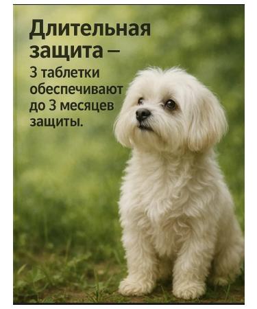 Zoetis Simeparika for dogs 1.3-2.5 kg 1 tablet - Buy Online on GoSupps.com