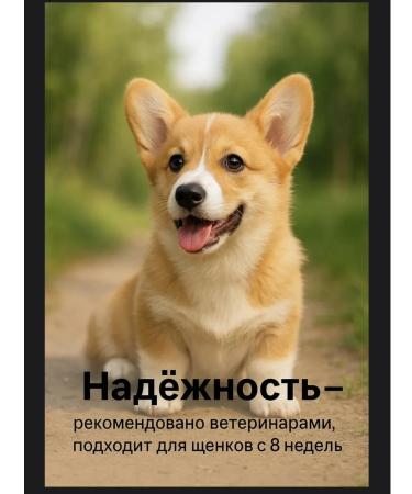 Zoetis Simeparika for dogs 1.3-2.5 kg 1 tablet - Buy Online on GoSupps.com