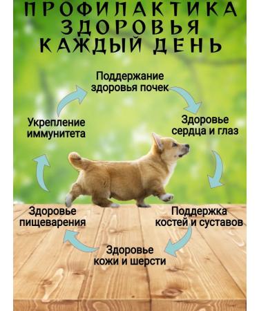 Grandorf Small -breed dog food - Buy Online on GoSupps.com